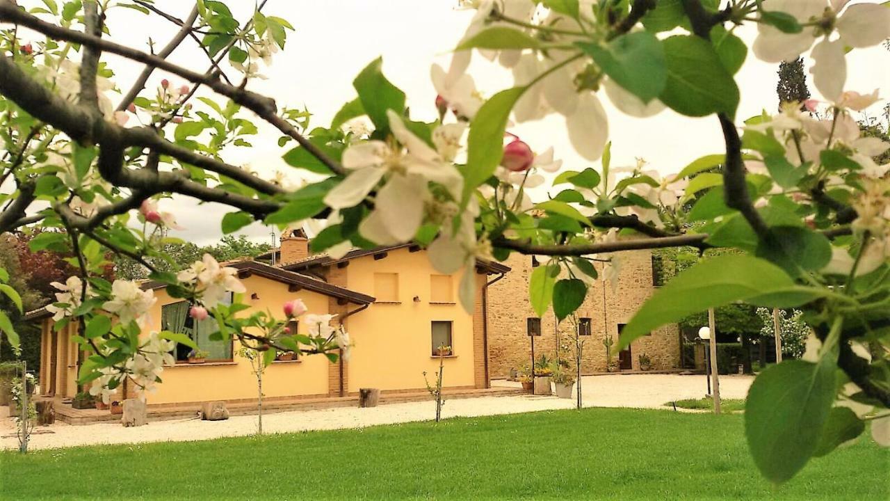 Hôtel Agriturismo Il Podere à Petrignano Extérieur photo