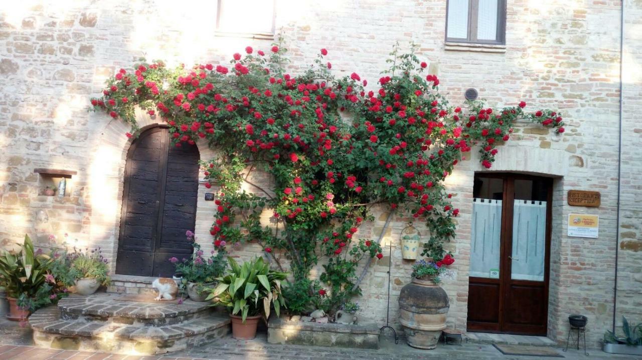 Hôtel Agriturismo Il Podere à Petrignano Extérieur photo